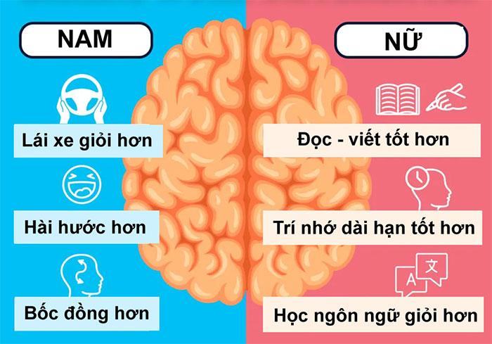 Sự khác biệt giữa nam giới và nữ giới. (Ảnh: The Sun).